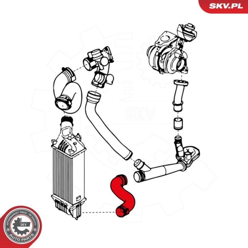 ESEN SKV Ladeluftschlauch 24SKV841