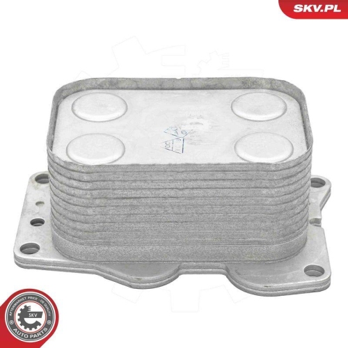 ESEN SKV &Ouml;lk&uuml;hler, Motor&ouml;l 31SKV382