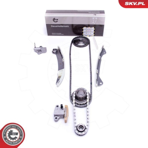 ESEN SKV Steuerkettensatz 21SKV125