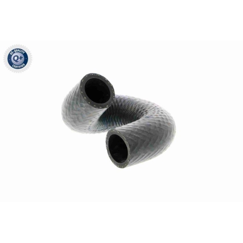 VAICO Kühlerschlauch Q+, Erstausrüsterqualität V20-1697