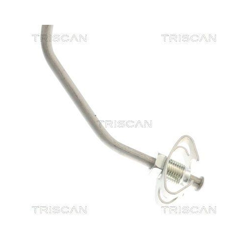 TRISCAN Bremsschlauch 8150 132027