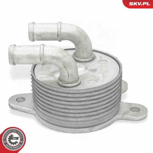 ESEN SKV &Ouml;lk&uuml;hler, Automatikgetriebe