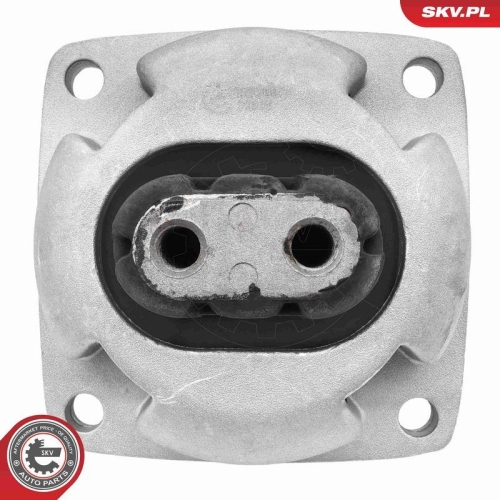 ESEN SKV Lagerung, Motor 75SKV004
