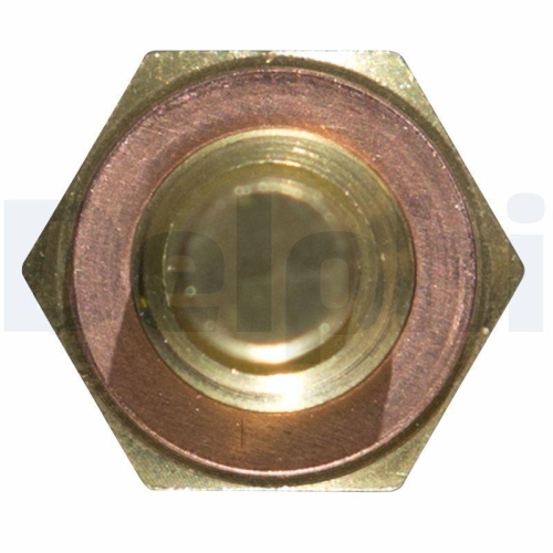 DELPHI Sensor, Kühlmitteltemperatur TS10250