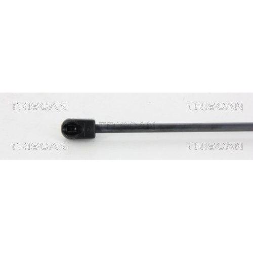 TRISCAN Gasfeder, Koffer-/Laderaum 8710 16250