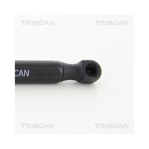 TRISCAN Gasfeder, Koffer-/Laderaum 8710 16259