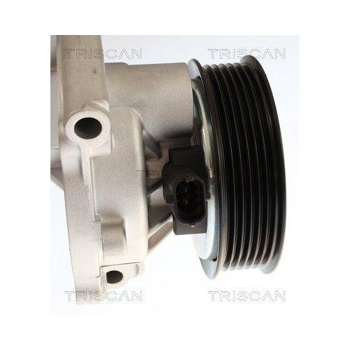 TRISCAN Wasserpumpe, Motork&uuml;hlung 8600 24062