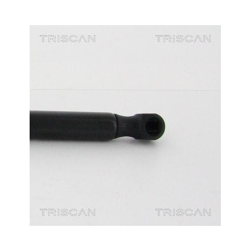 TRISCAN Gasfeder, Koffer-/Laderaum 8710 16260