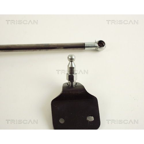 TRISCAN Gasfeder, Koffer-/Laderaum 8710 50218