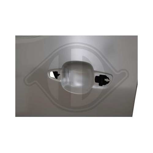 DIEDERICHS Tür, Karosserie 4014821