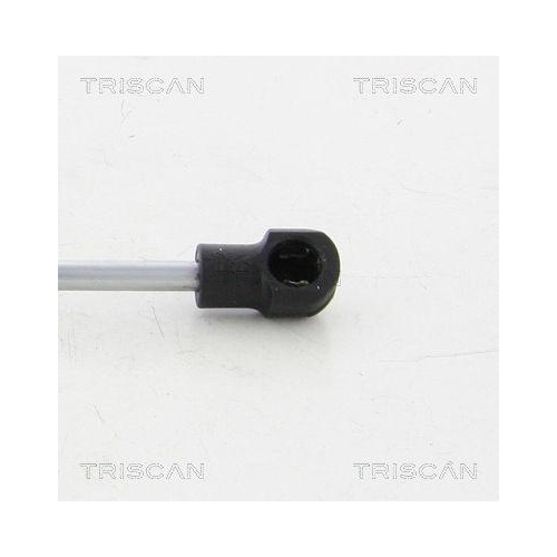 TRISCAN Gasfeder, Koffer-/Laderaum 8710 20203