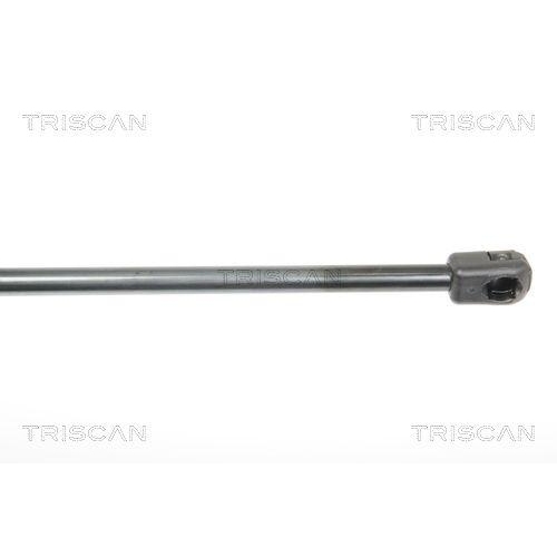 TRISCAN Gasfeder, Koffer-/Laderaum 8710 23216