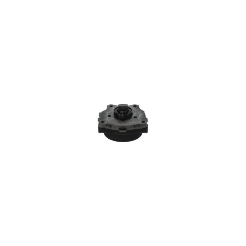 BOSCH Kraftstoffpumpe 0 440 050 007