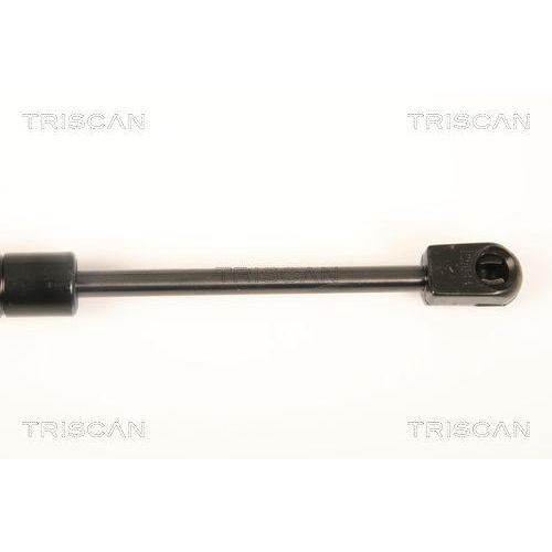 TRISCAN Gasfeder, Koffer-/Laderaum 8710 23221