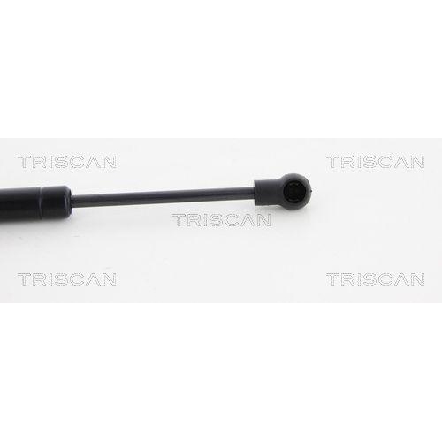 TRISCAN Gasfeder, Koffer-/Laderaum 8710 23228
