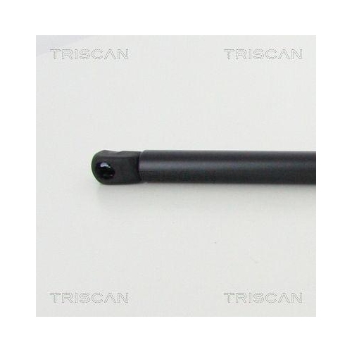 TRISCAN Gasfeder, Koffer-/Laderaum 8710 23247