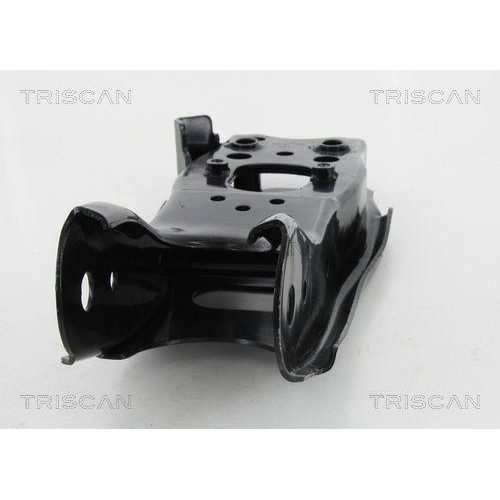 TRISCAN Lenker, Radaufhängung