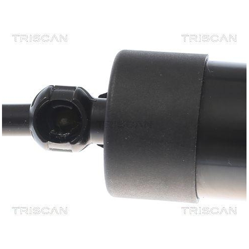 TRISCAN Gasfeder, Koffer-/Laderaum 8710 27310