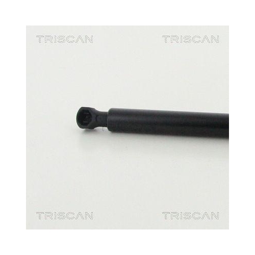 TRISCAN Gasfeder, Motorhaube 8710 25112