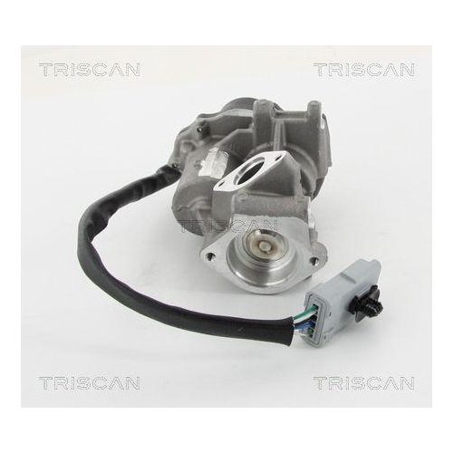 TRISCAN AGR-Ventil 8813 10202