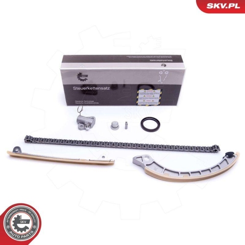 ESEN SKV Steuerkettensatz 21SKV222