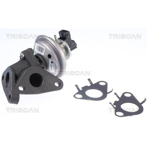 TRISCAN AGR-Ventil 8813 11010