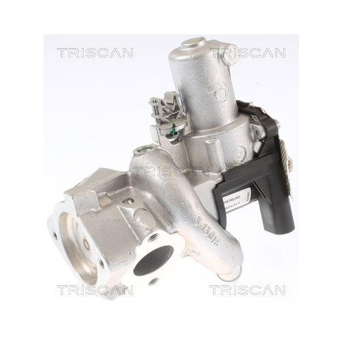 TRISCAN AGR-Ventil 8813 14006