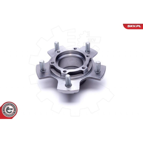 ESEN SKV Radlagersatz