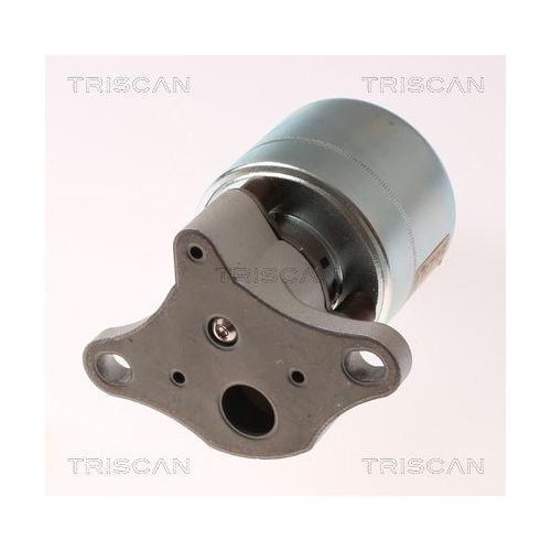 TRISCAN AGR-Ventil 8813 21026