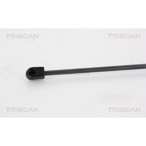 TRISCAN Gasfeder, Koffer-/Laderaum 8710 28242