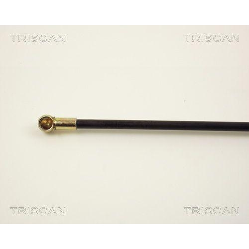 TRISCAN Gasfeder, Koffer-/Laderaum 8710 2910