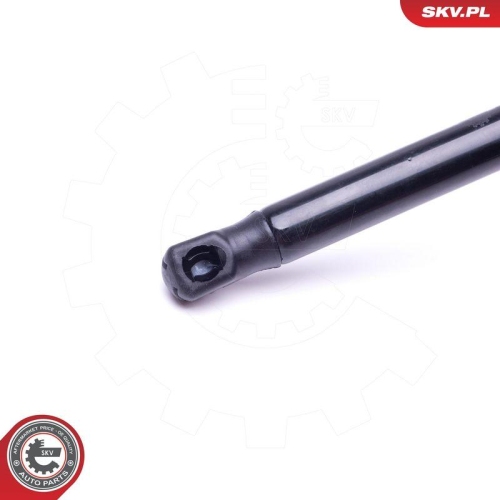 ESEN SKV Gasfeder, Koffer-/Laderaum 52SKV522