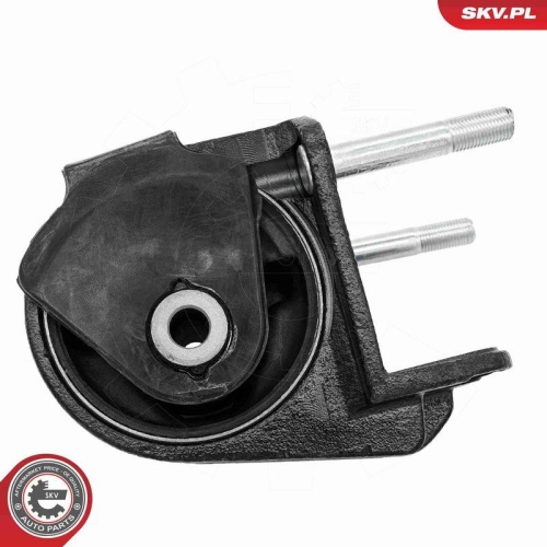ESEN SKV Lagerung, Motor 75SKV336