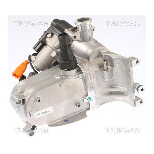 TRISCAN AGR-Ventil 8813 29321