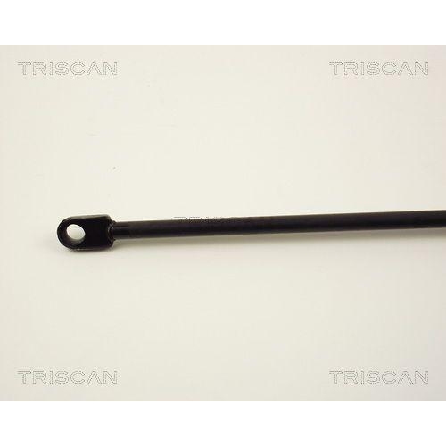 TRISCAN Gasfeder, Koffer-/Laderaum 8710 2920