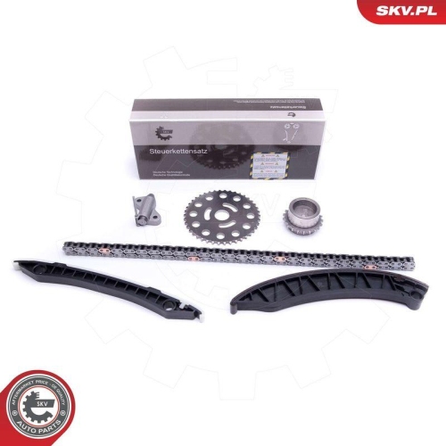 ESEN SKV Steuerkettensatz 21SKV246