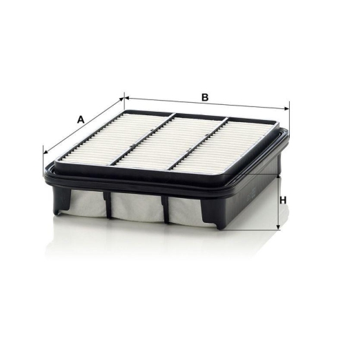 MANN-FILTER Luftfilter C 2438