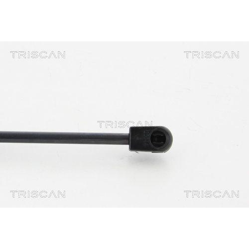TRISCAN Gasfeder, Koffer-/Laderaum 8710 292008
