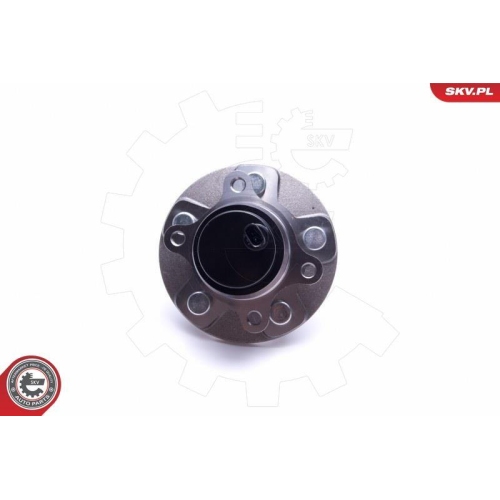 ESEN SKV Radlagersatz
