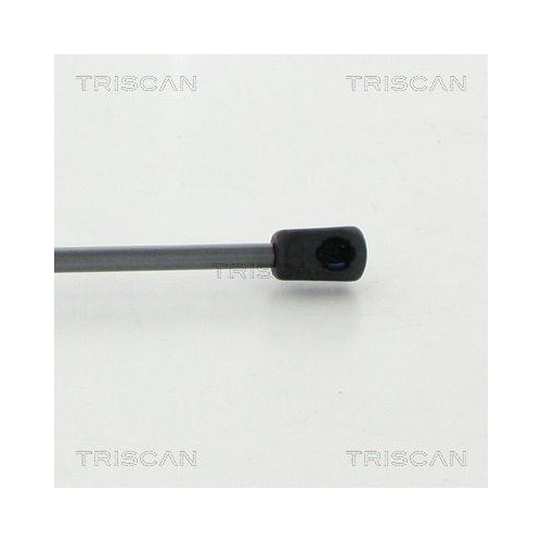 TRISCAN Gasfeder, Koffer-/Laderaum 8710 292017