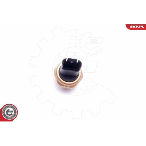 ESEN SKV Sensor, Kraftstoffdruck