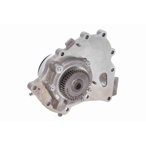 VAICO Wasserpumpe, Motorkühlung Green Mobility Parts V45-50019