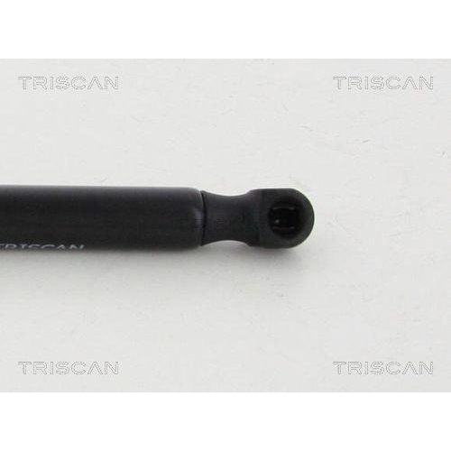 TRISCAN Gasfeder, Koffer-/Laderaum 8710 292029