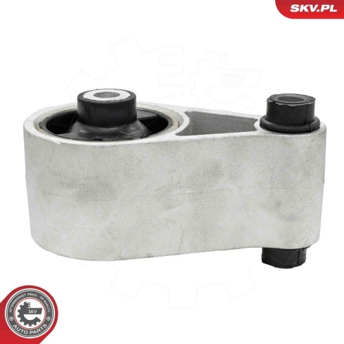 ESEN SKV Lagerung, Motor 75SKV067