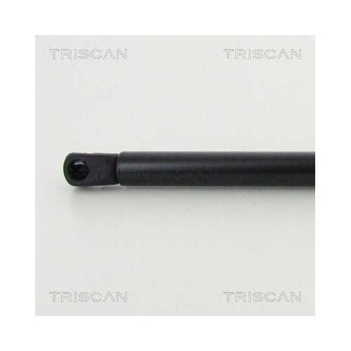 TRISCAN Gasfeder, Koffer-/Laderaum 8710 292041
