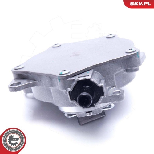 ESEN SKV Unterdruckpumpe, Bremsanlage 18SKV031