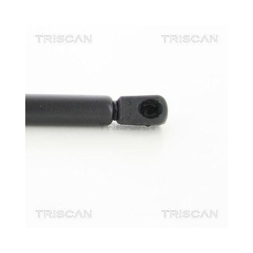 TRISCAN Gasfeder, Koffer-/Laderaum 8710 292100
