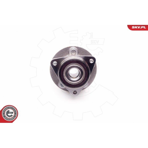 ESEN SKV Radlagersatz 29SKV124