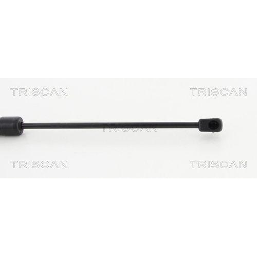 TRISCAN Gasfeder, Koffer-/Laderaum 8710 292103