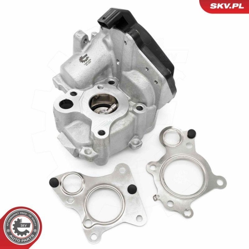 ESEN SKV AGR-Ventil 14SKV259
